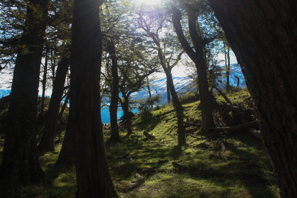 vince-veras-oJNM7111Muc-unsplash